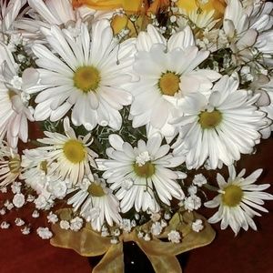 Meet your Posher, Shayla